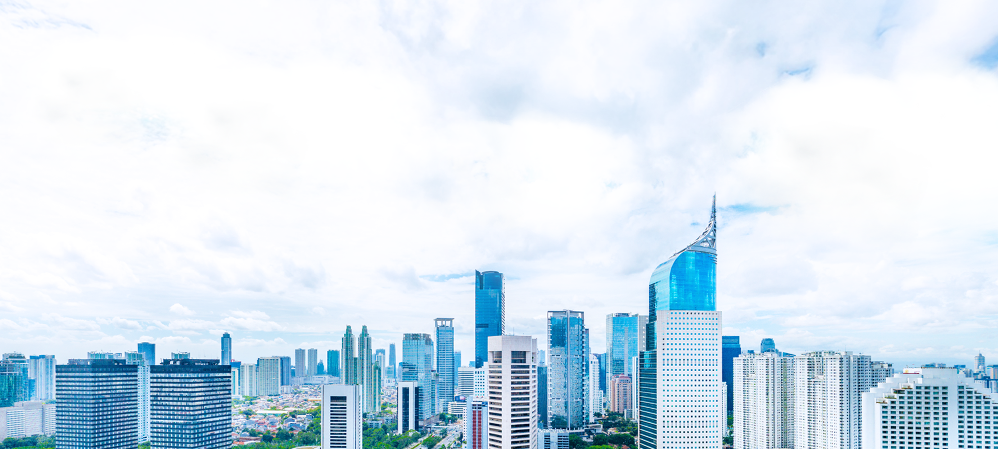 Consultancy Services for companies operating in or expanding into Indonesia
